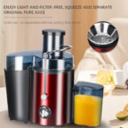 raf juice extractor 1000w 2