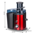 raf juice extractor 1000w 3