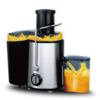 raf juice extractor 1000w 4