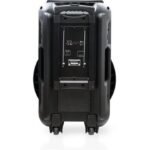 Saachi trolly speaker NL-SP-6339 with a wireless microphone - Image 3