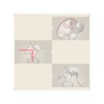 Manual Breast Pump Powerful Suction Cup Milk Extractor Feeding Bottle For Breastfeeding Pulls Nipple Milk Pump - Image 4