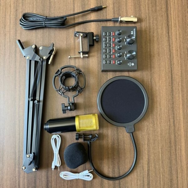 Professional Condenser Microphone