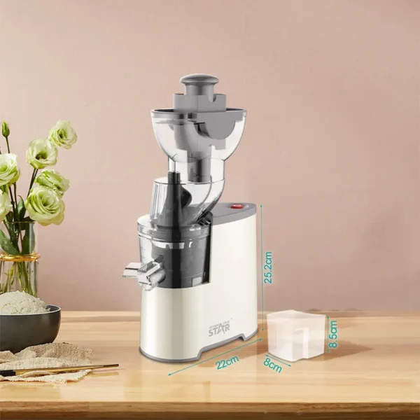 Winning Star Slow Juicer | ST-5598