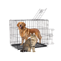 pet supplies on kwesi stores